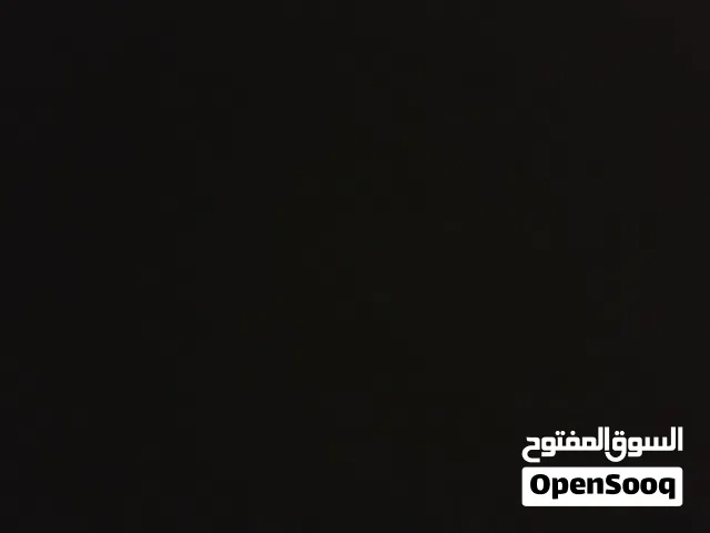 طير بنجابي للبدل