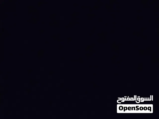 نبي كوكتيل أو بركديلو السعر من60الي75