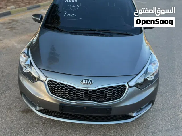 2015 Kia K3 EX