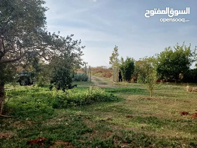 Mixed Use Land for Sale in Sidon Sayroubiyeh