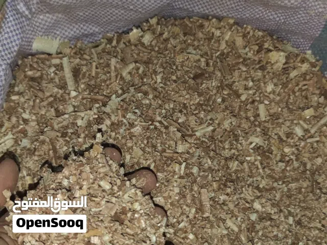 نشارة خشب جاهزه
