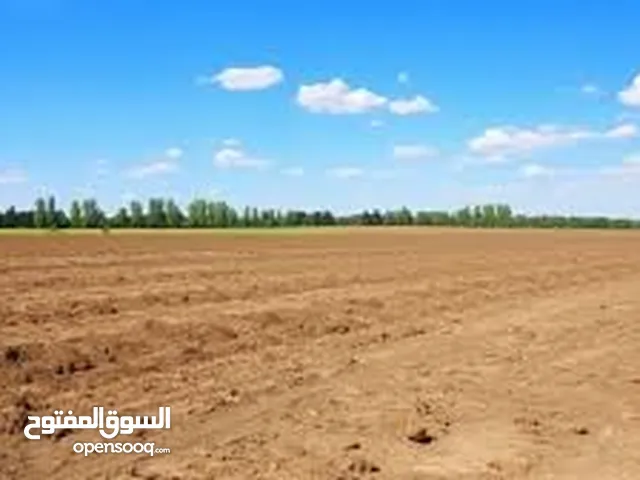 قطع اراضي للبيع من المالك الزرقاء رجم الجدعان قاع خنا خرزة القاع مديرية اراضي الزرقاء