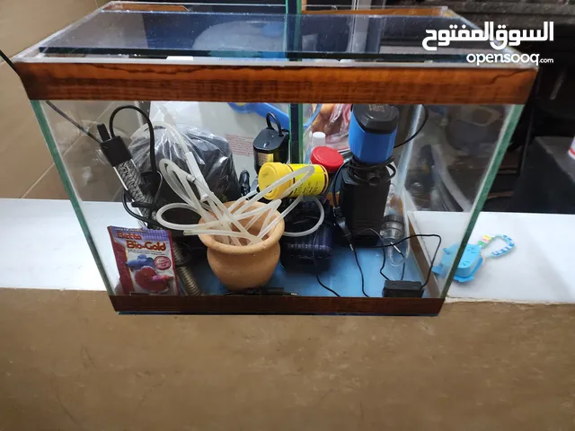 حوض سمك للبيع
