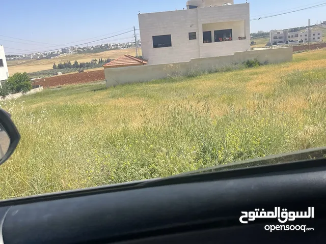 شارع المطار الطنيب حوض 4 العيادات