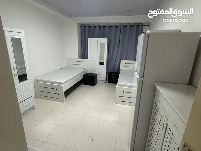 متوفر بارتيشنات واسعة سكن شباب عرب