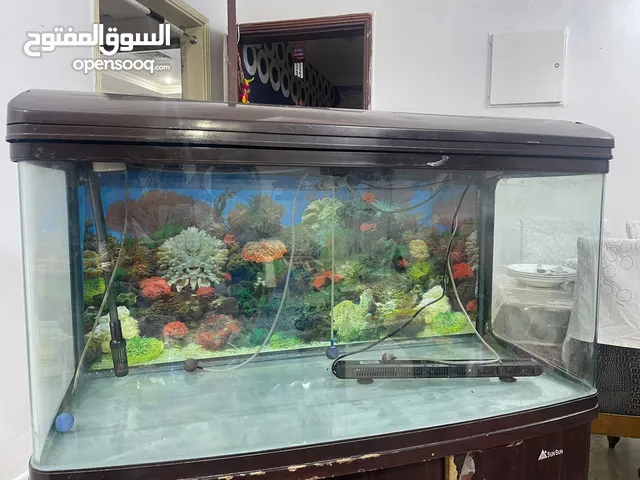 Fish tank with motor for sale - خزان للأسماك مع محرك للبيع -