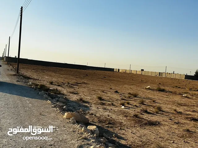 هكتار للبيع في الطلحية