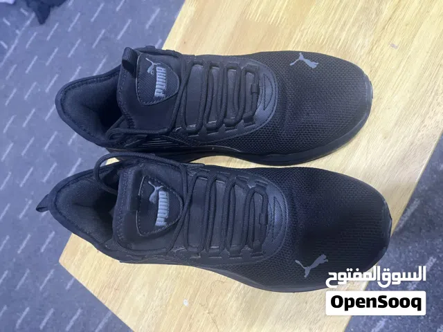 سبيدرو بوما أصلي