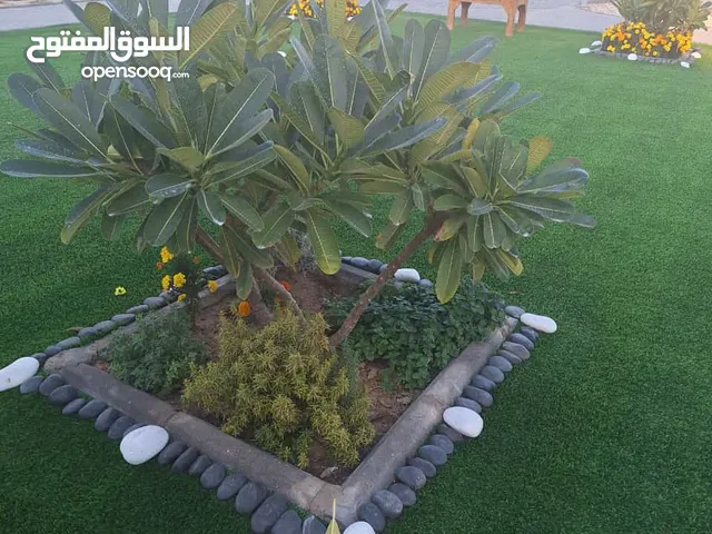 4 Bedrooms Farms for Sale in Al Ahmadi Wafra residential