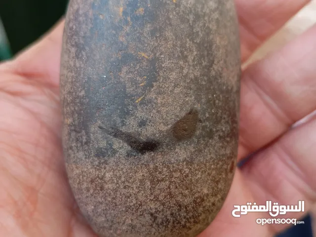 نيزك للبيع