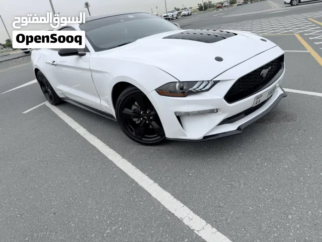 2022 Ford Mustang EcoBoost