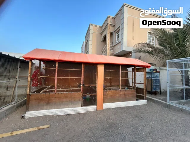 أقفاص خشبية للبيع بحالة جيدة
