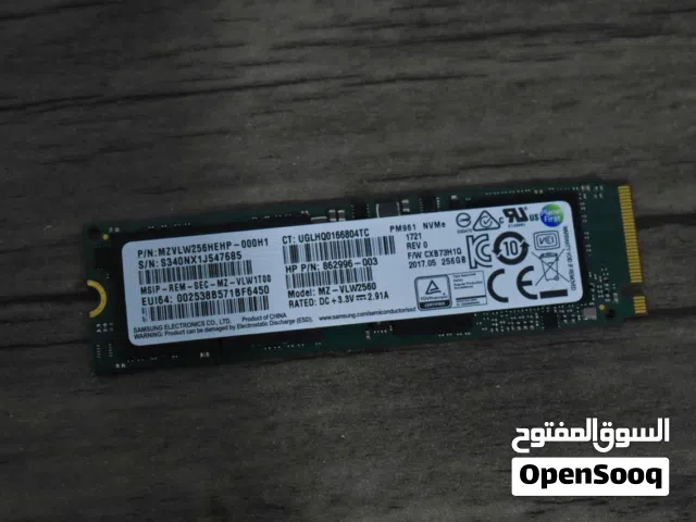 256GB Samsung NVMe SSD