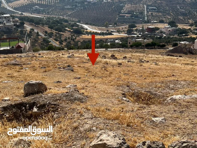 أرض بمساحة 2.257 م2 قرية صروت حوض البلد منطقة مرتفعة وإطلالة مميزة