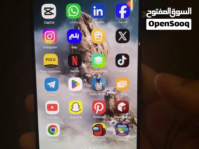poco x6 pro