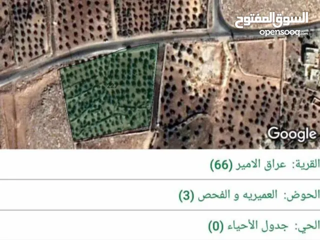 Farm Land for Sale in Amman Wadi El Seer