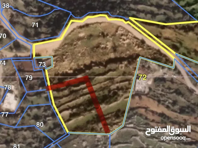 دنم ارض للبيع في اراضي المزرعة الغربية طابو الدنم الي معلم بلون الاحمر