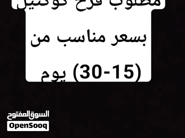 مطلوب كوكتيل