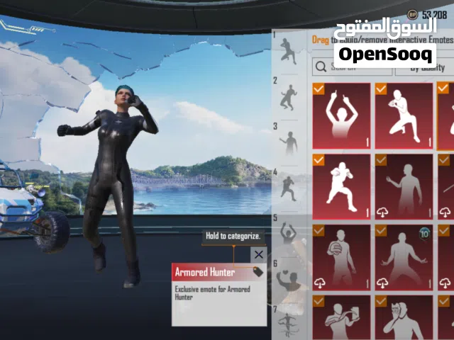 Hseb pubg narr