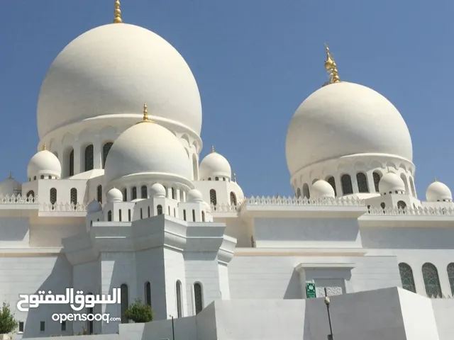 Religion Teacher in Abu Dhabi