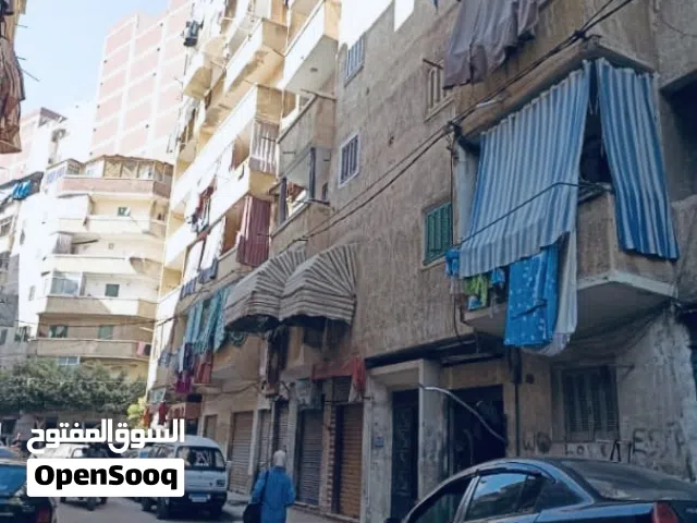 شقه جميله قريبه من كل حاجه الحق ومتفوتش الفرصه