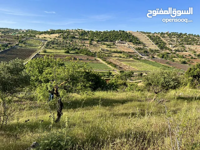 ارض للبيع في الأردن