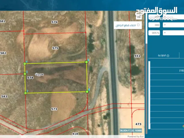 Farm Land for Sale in Zarqa Sarout