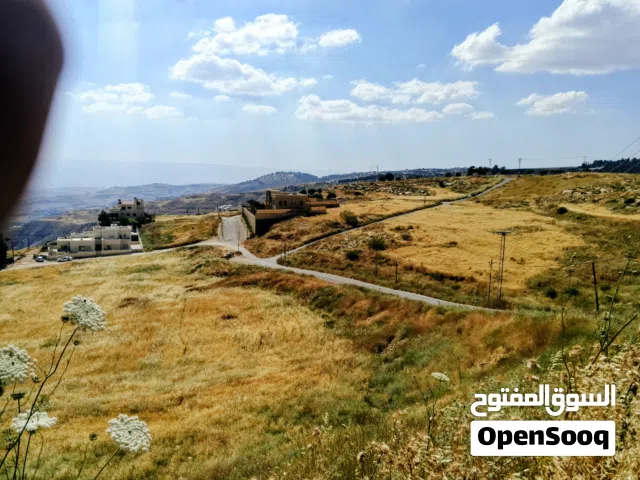 Residential Land for Sale in Amman Naour