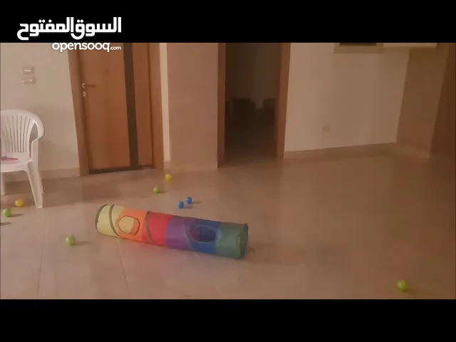 لاستضافه القطط kitty cat