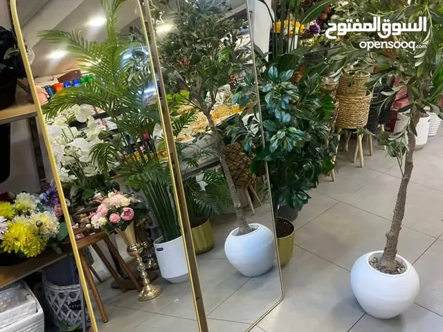 مراي ستاند اطار ذهبي برونزي مميز