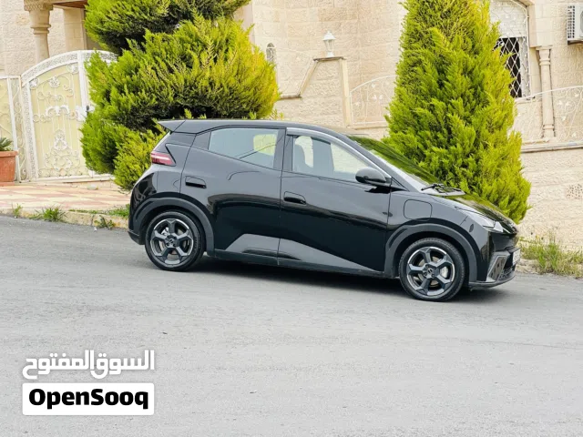 2024, بي واي دي, سيجول