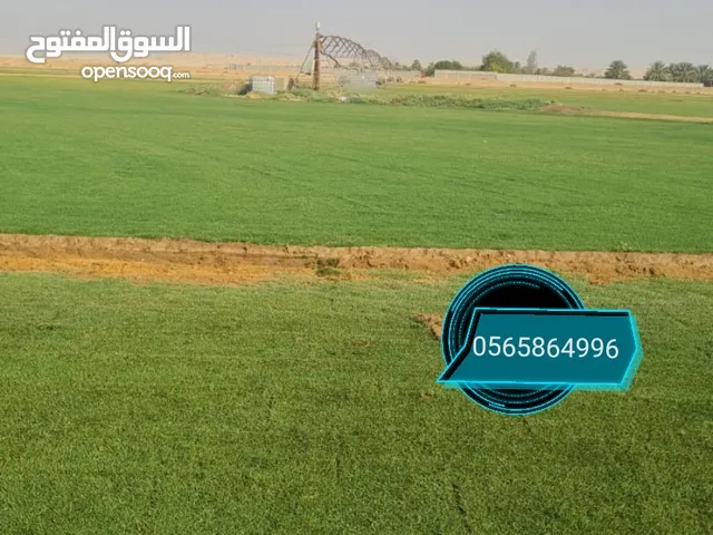 ثيل طبيعي نجيله تنسيق حدائق