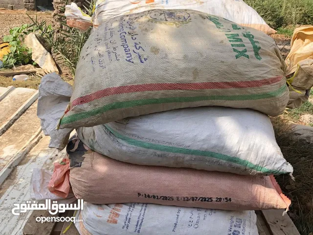تمر نفيعة للبيع 2025