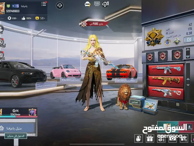 Pubg Accounts and Characters for Sale in Basra