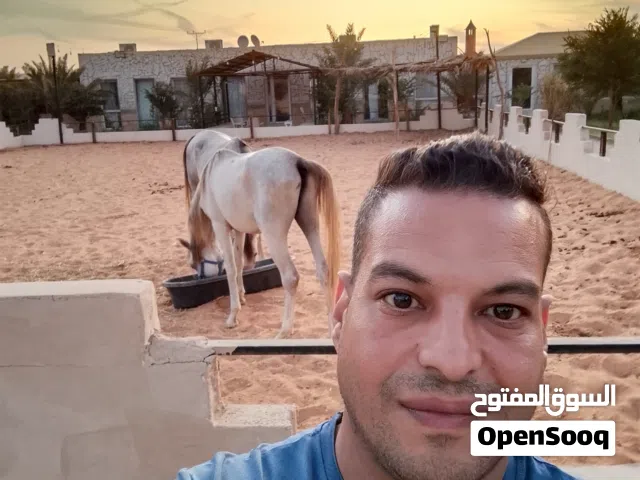 أحمد عبد الرحمن على