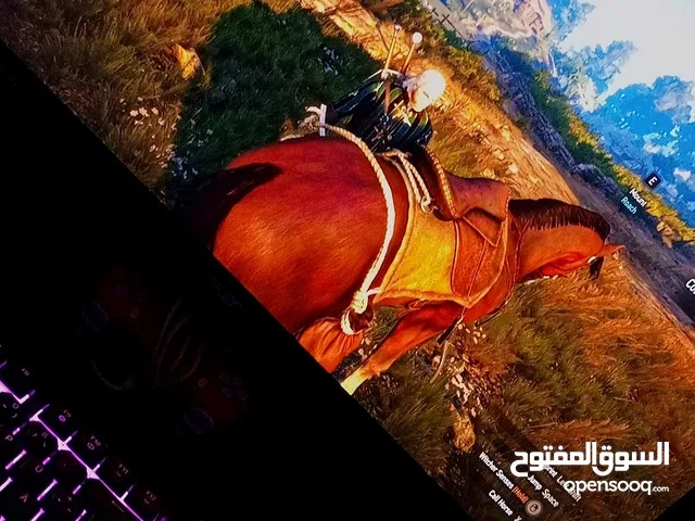 RTX 3070 حاسبة العاب ومونتاج وستريم فول مواصفات مع ملحقات من شركة Razer