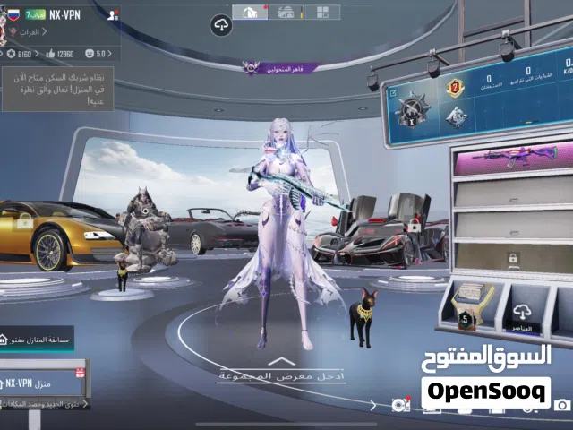 Pubg Accounts and Characters for Sale in Basra