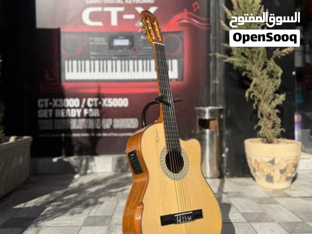 guitar احترافي مع ايكولايزر