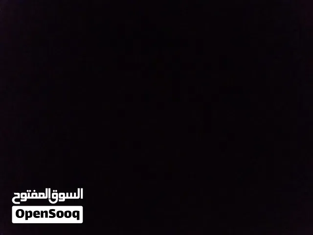 موجود قطط سنيامي يبالهن اهتمام فقط اليفات والوان حلوه
