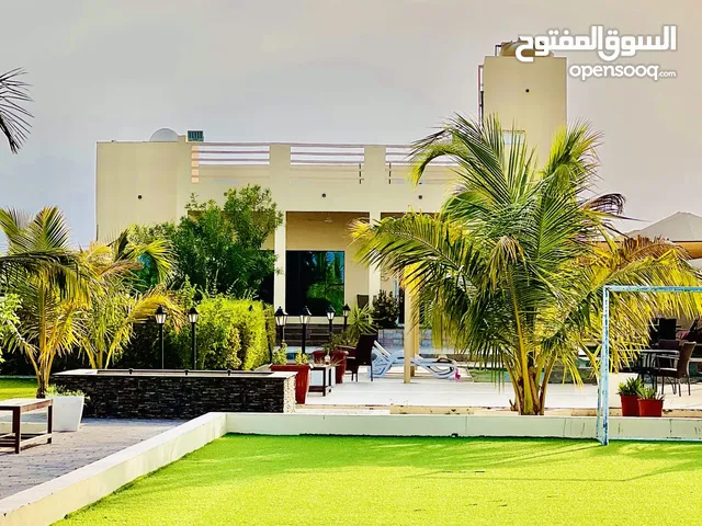 3 Bedrooms Farms for Sale in Al Batinah Saham