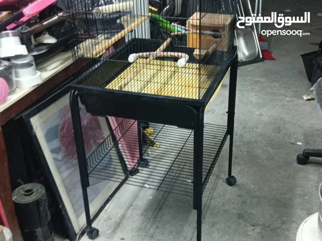 قفص طيىر للبيع حجم كبير