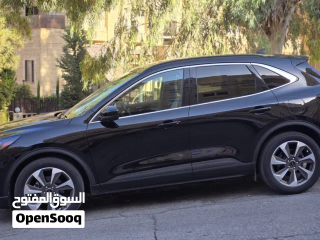 2023, فورد, اسكايب, Platinum