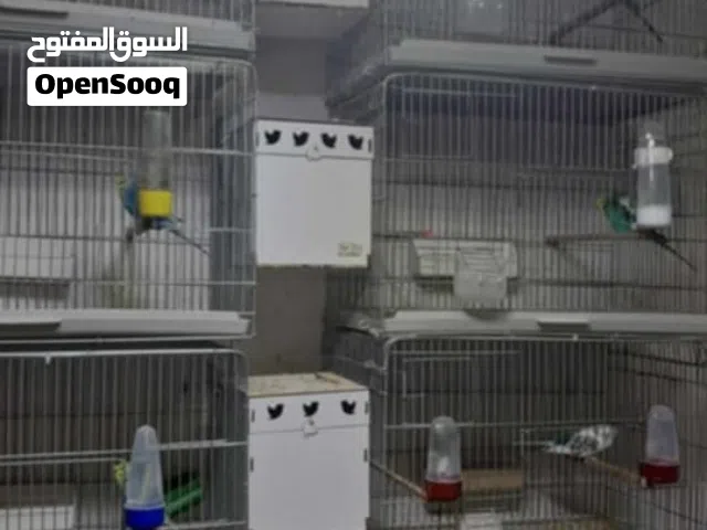 سلاكه تركية 5 أدوار كامله بقفاصها