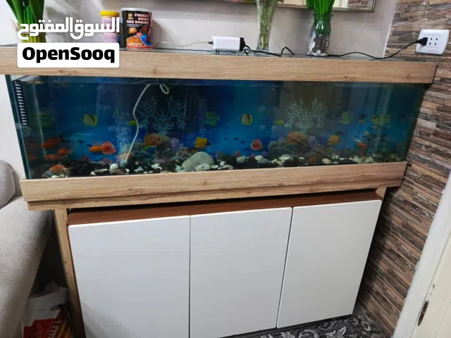 حوضين سمك ملبس المنيوم