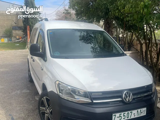 كادي 2019 للبيع