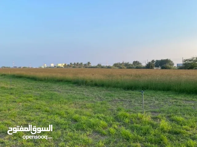 للبيع مزرعه قائمه في بركاء - الفاغره جنوب - ماء عذب بها زراعه متنوعه بمساحه 20 ألف متر