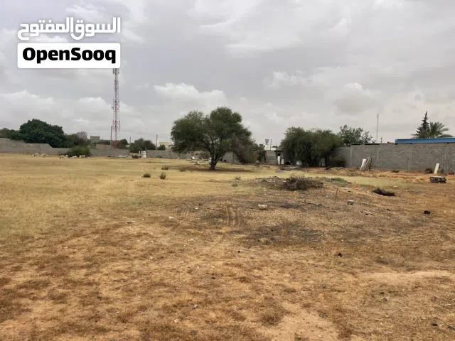هكتار للإيجار في الباعيش