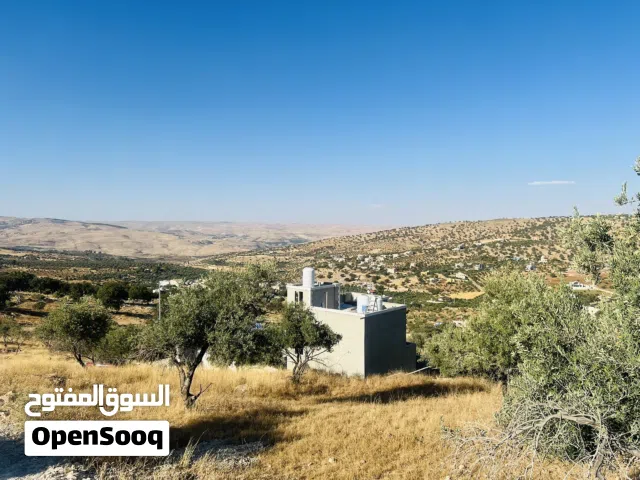 Residential Land for Sale in Zarqa Al-Alouk
