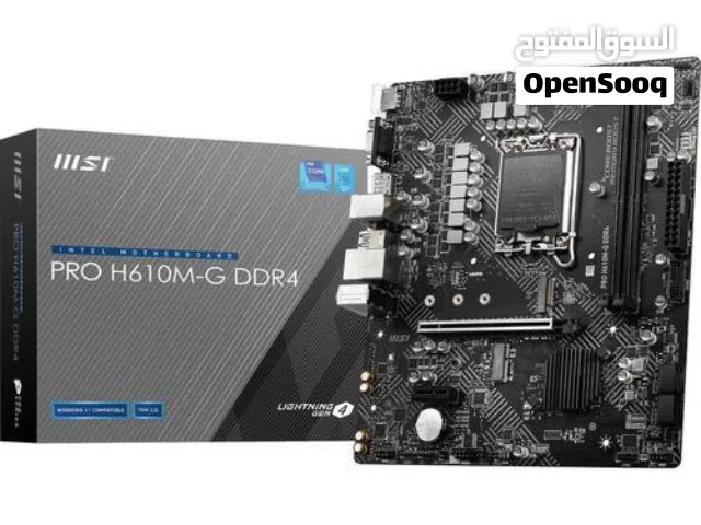 Pro h610m-G