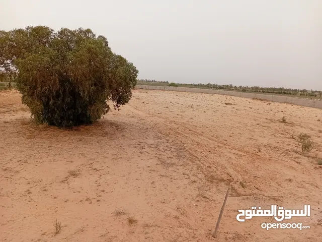 Farm Land for Sale in Jumayl Other
